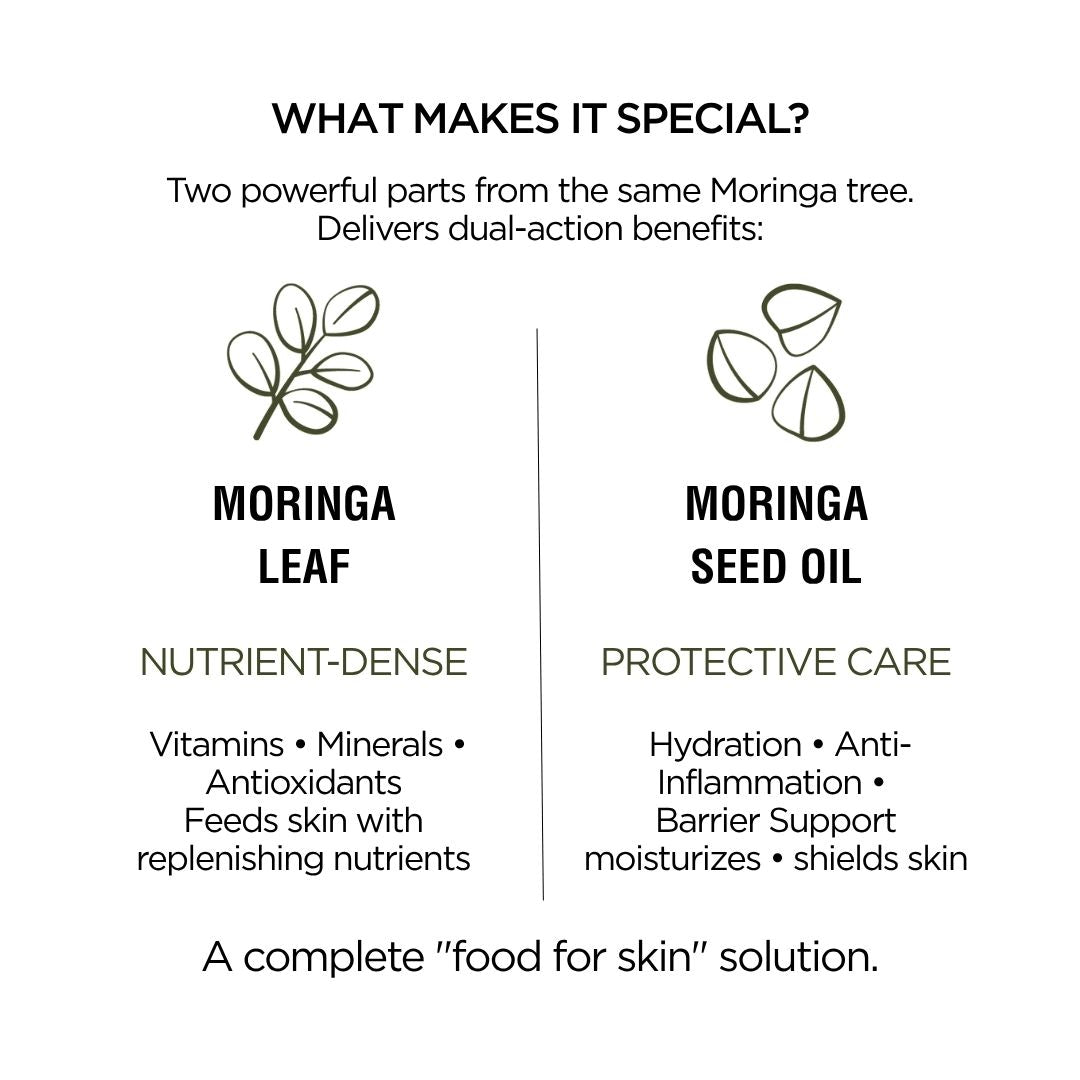Moringa Leaf + Seed Whole-Plant Nutrition Oil – Face & Body Oil for Damage Sensitive, Skin Repair 2oz